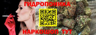 спиды Кандалакша