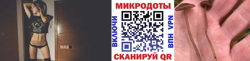 Псилоцибиновые грибы Psilocybine cubensis Краснодар